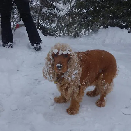 בית הארחה Melusine *