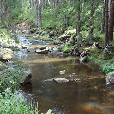 Melusine בית הארחה Loučná pod Klínovcem